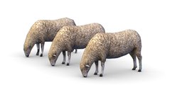 Low Poly Farm Sheep hair, food, sheep, pet, mammal, coat, eating, stands, farm, farmer, game-ready, hoof, game-asset, wool, lowpolymodel, flock, 3danimal, herd, eats, low-poly, lowpoly, gameasset, animal, 3dmodel, gameready, lode, drove, cloven-hoofed, cloven, parropod