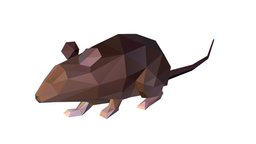 Animated Rat Mouse Lowpoly Art Style rat, mouse, polygonal, ears, brown, gray, tail, awesome, beautiful, fangs, rodent, lowpolyart, multicolor, catfish, chopped, triangulated, mammals, polygonart, paws, cartoon, 3d, cool, lowpoly, creature, animal, animation, animated, rattus, graymouse, gray-brown, riangular, omnipresent, mouse-likecreature, superrat, triangularstyle
