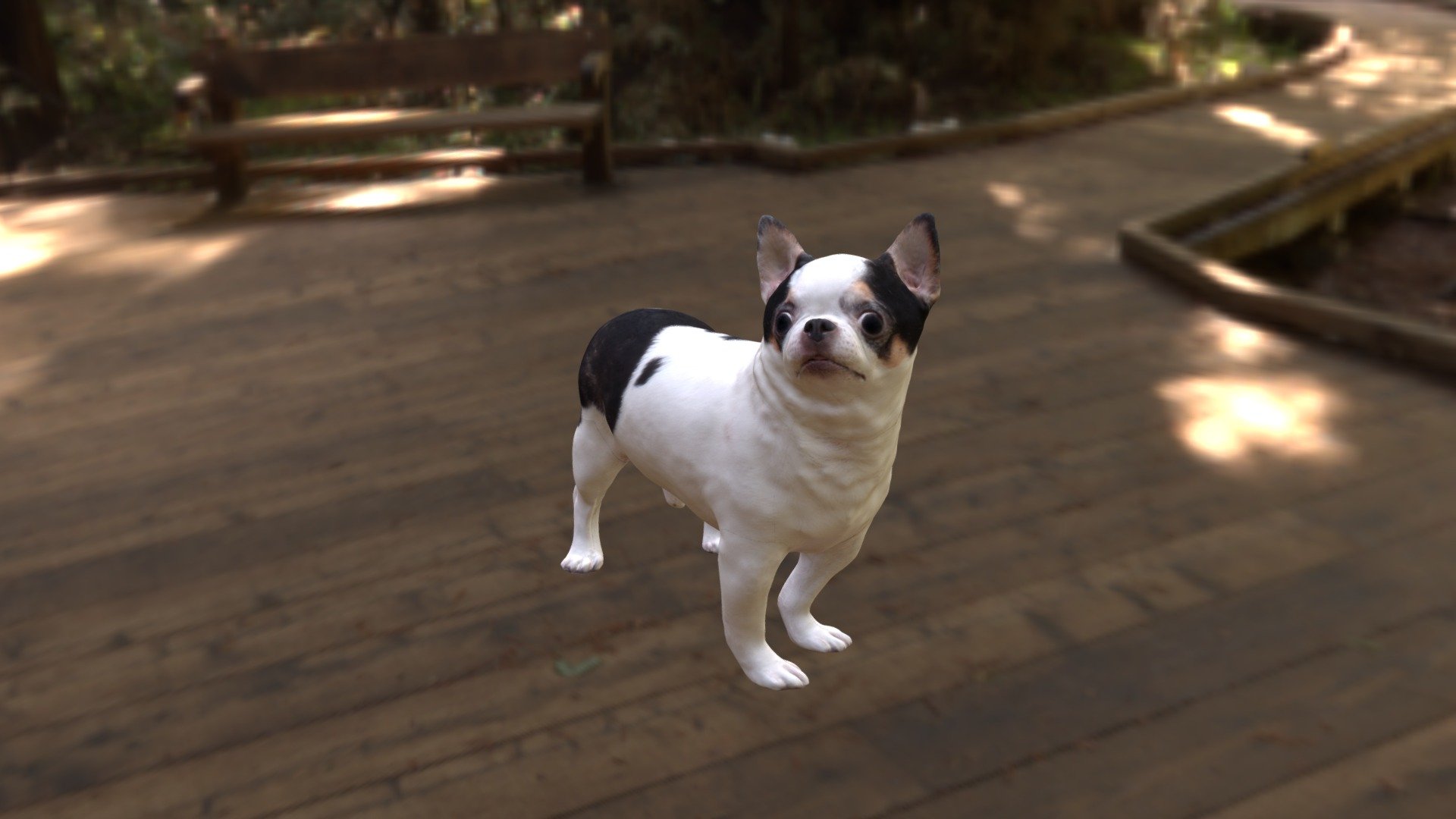 3D Scanned Model - Scanned Chihuahua Dog-890 - Buy Royalty Free 3D model by Evan 3D Scanning studio (@Evan-3DScanningStudio) 3d model