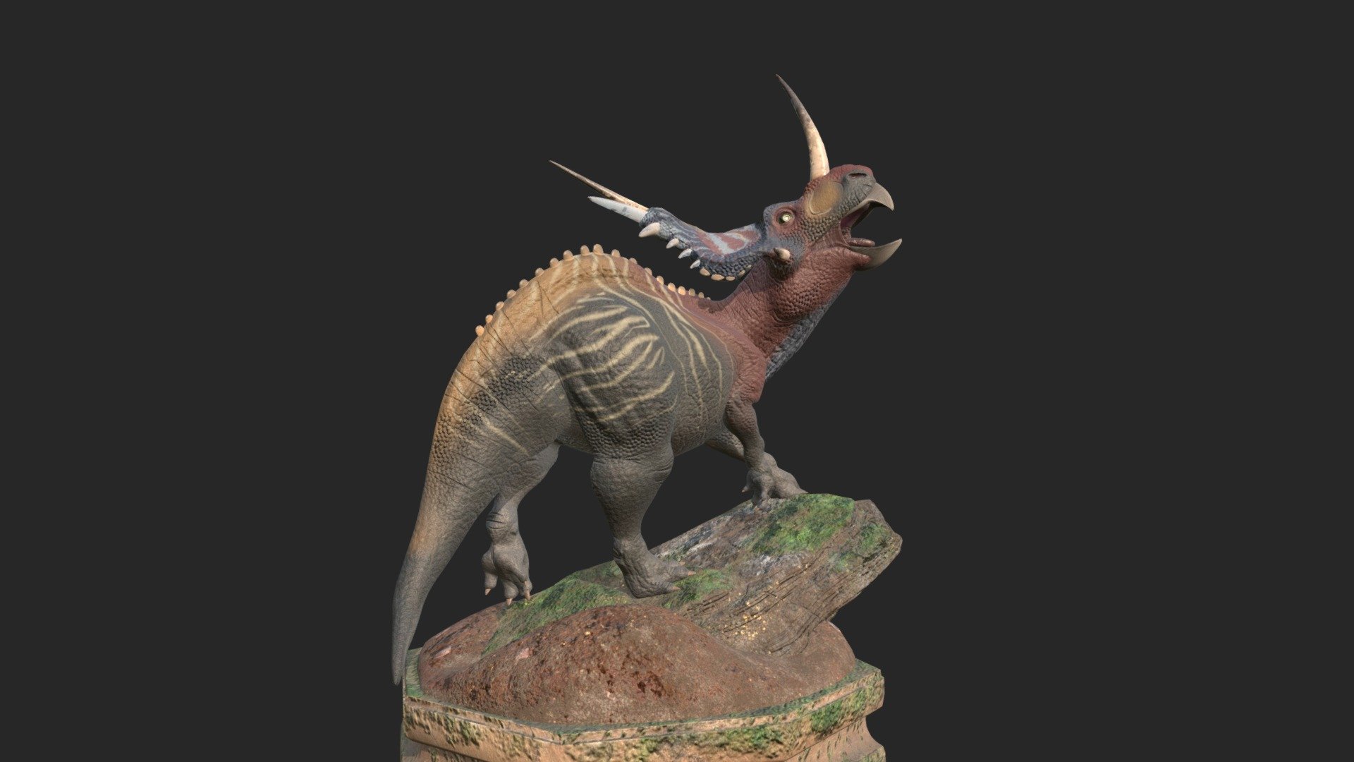 The Styracosaurus was a type of ceratopsian dinosaur from the Cretaceous Period, they lived about 75.5 to 75 million years ago.
As an adult, these dinosaurs could reach 5 feet, 9 inches in height and 18 feet in length. 
These dinosaurs could grow to weigh as much as 6000lbs! (Thats 2.3 Ford Fiestas!)

This model was originally created for a Lighting and Compositing assignment, I reworked it recently for practice and fun! - Styracosaurus - 3D model by TaylorMGandy 3d model