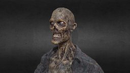 Decayed Zombie D realistic, corpse, rotten, unrealengine, decayed, unity3d, pbr, monster, horror, zombie, decomposed