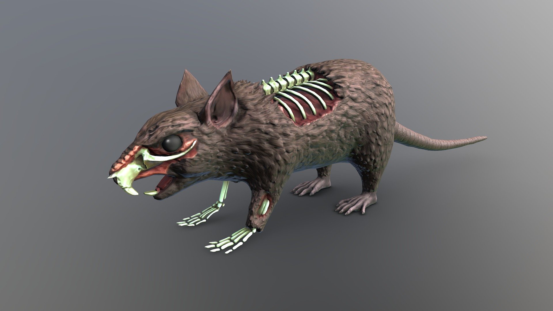 Created this for a freelance project along with a few other rat variations.

Plagued Rat: https://skfb.ly/6MLCp
Regular Rat: https://skfb.ly/6MLAL - Undead Rat - 3D model by MMKH 3d model