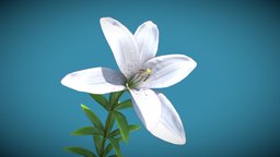 Animated blooming Lily plant, flower, spring, vegetation, fleur, nature, lily, petal, blossom, lis, blooming, lys, lilium, substancepainter, blender, noai