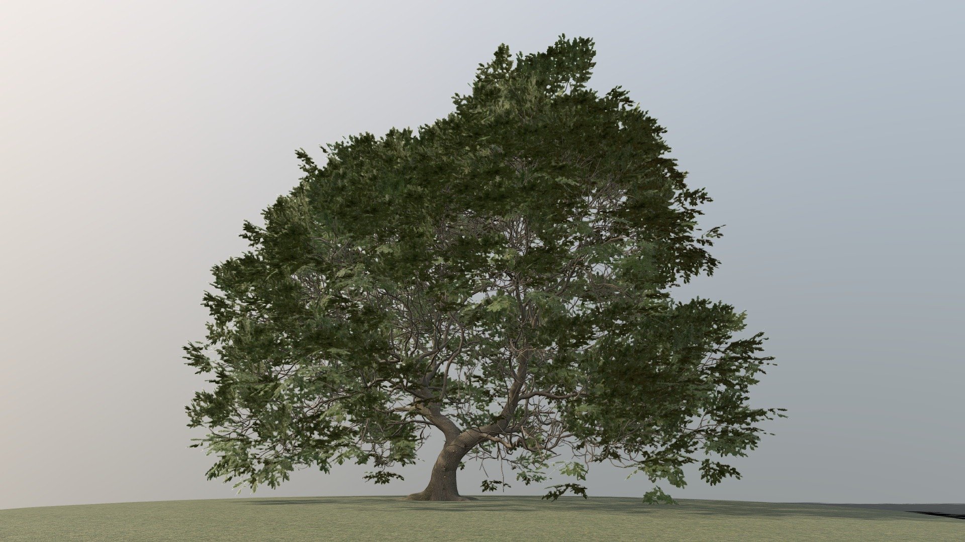 Detailed Description Info:


Model: Oak Tree


Media Type: 3D Model


Geometry: Quads/Tris


Polygon Count: 210075


Vertice Count: 314832
Textures: Yes


Materials: Yes


Rigged: No


Animated: No


UV Mapped: Yes


Unwrapped UV’s: Mixed


||||||||||||||||||||||||||||||||||| - Oak Tree - Buy Royalty Free 3D model by studio lab (@leonlabyk) 3d model