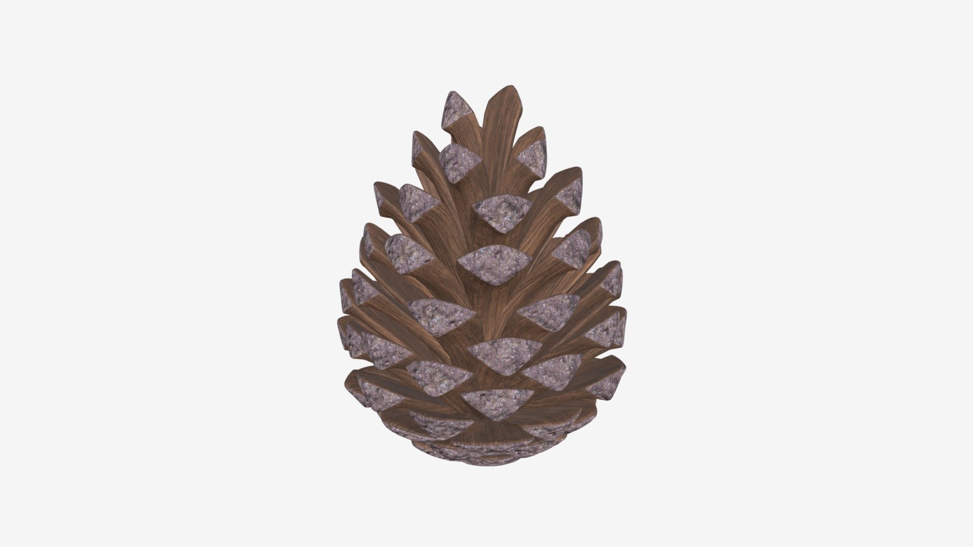 Processed with Batch Uploader - Pine Cone - Buy Royalty Free 3D model by HQ3DMOD (@AivisAstics) 3d model