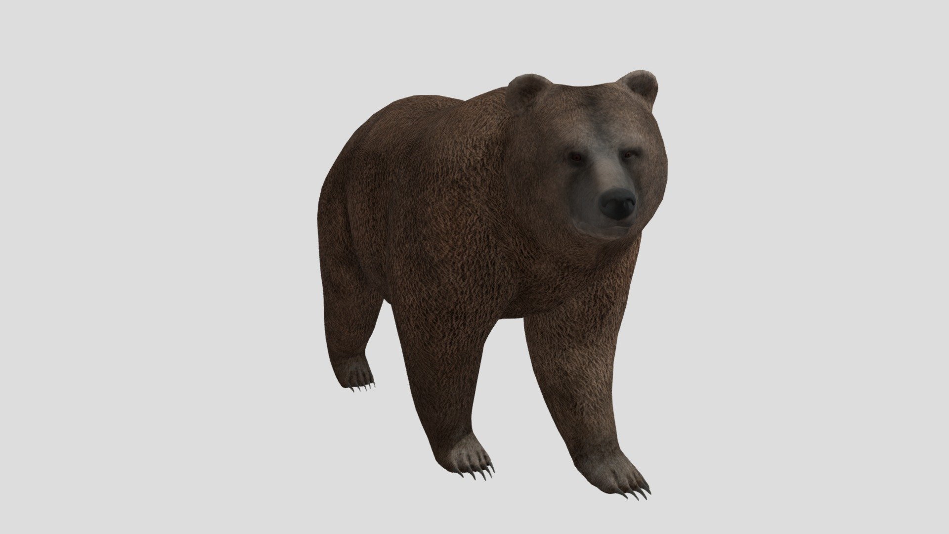 brown bear. works in blender. paint 3d. and more.
and its free - bear - Download Free 3D model by neighbor (@kylekip) 3d model