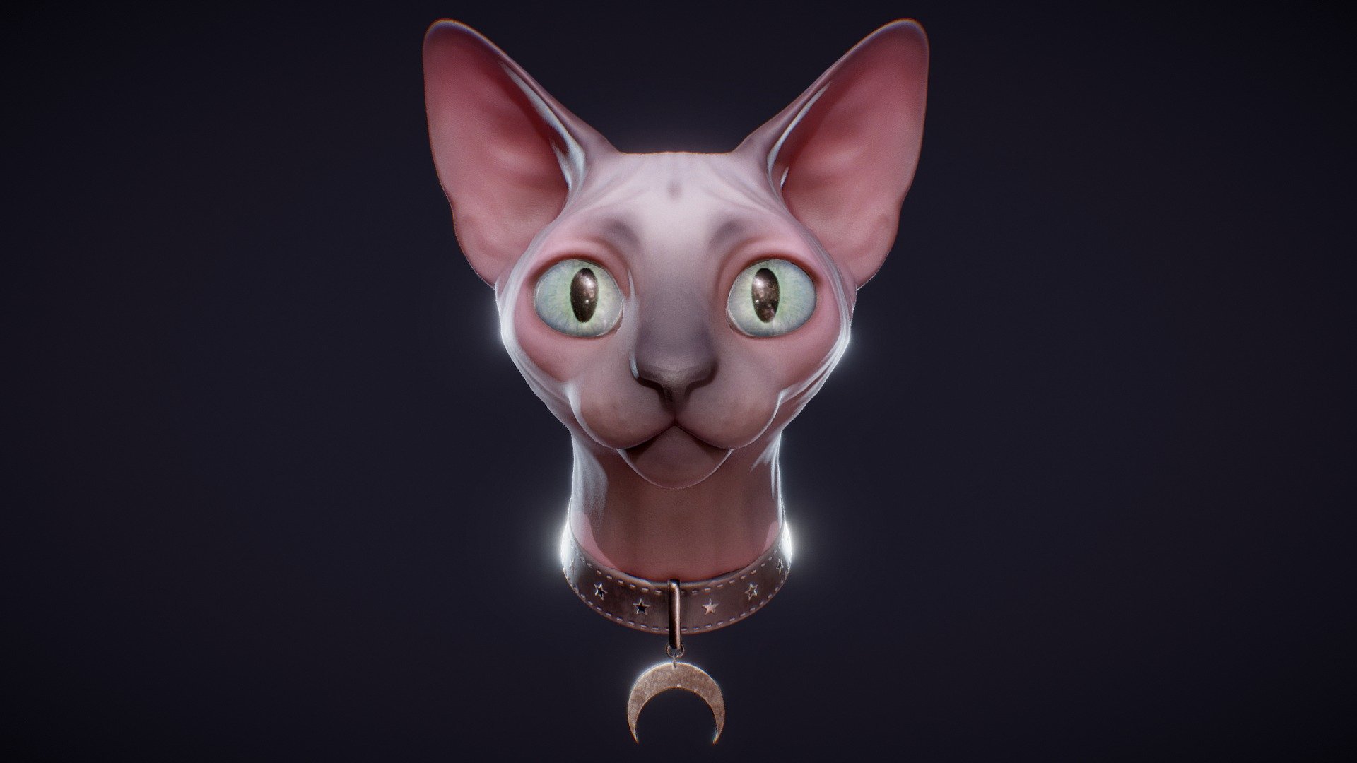 Spooky Sphynx kitty!
A fun little project I've been working over the past few days in order to learn a bit more about Z Brush and Substance painter 3d model