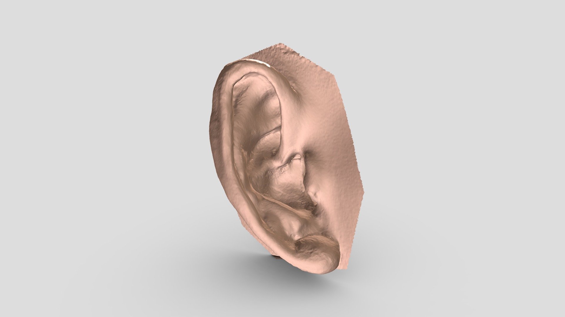 Ear scanning by Thunk3D Fisher handheld 3D scanner 

https://www.facebook.com/profile.php?id=100027655718480 - Ear - 3D model by Diana Liu (@Diana123456) 3d model