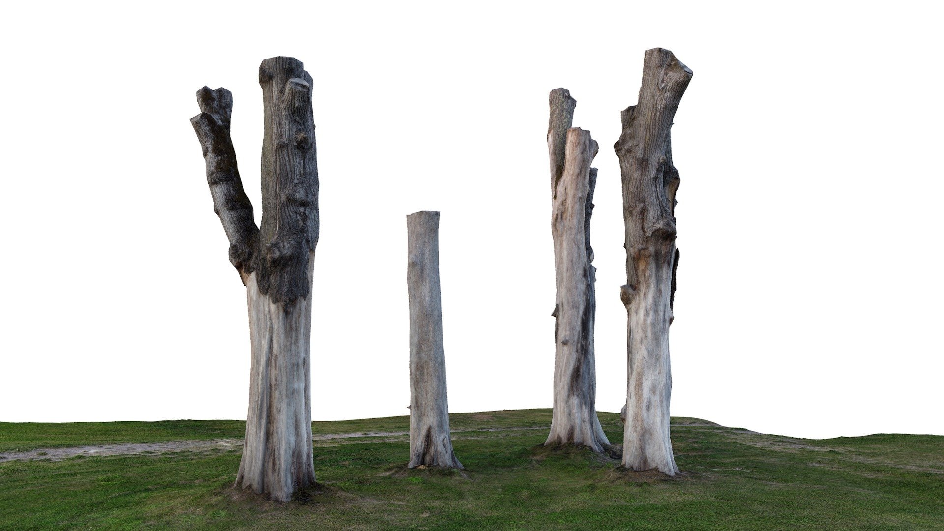 This is a group of elm trees that were cut down due to illness. You can find them in Åtvidaberg, Sweden.
780 photos x 8 textures

The group of trees stand in front of a building called &ldquo;Ålundamagasinet