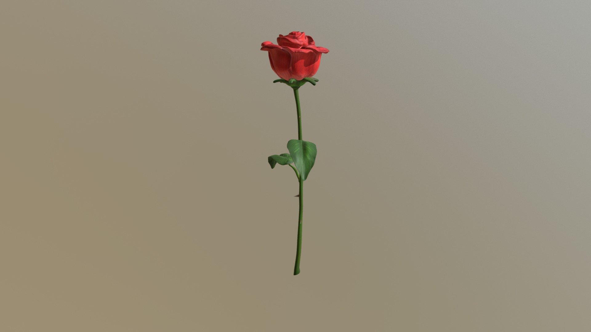 This is a rose I sculpted and painted in only a few hours. Just a quick project I did while thinking of a friend.

Sculpt created and painted using ZBrush 4R8 - Red Rose Sculpt - 3D model by Jonathan Hart (@JonathanHart3D) 3d model