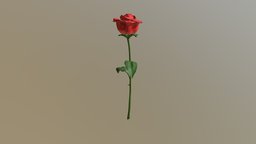 Red Rose Sculpt