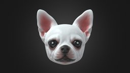 Ellen Chihuahua white dog, pet, chihuahua, custom-made
