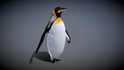 Emperor Penguin rifle, ice, penguin, wild, climbing, nature, animated