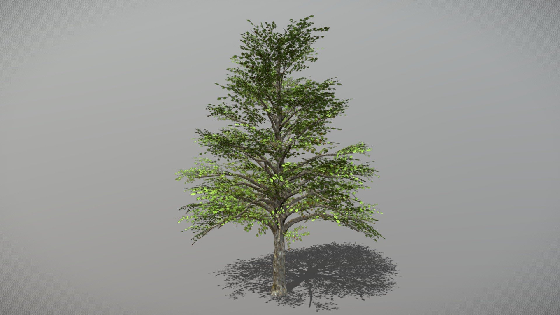 Animated Sycamore tree + FBX LOD Model

• LOD0 = 6,896 Tris

• LOD1 = 3,477 Tris

• LOD2 = 838 Tris
 - Sycamore (Animated Tree) - Buy Royalty Free 3D model by bsp 3d model