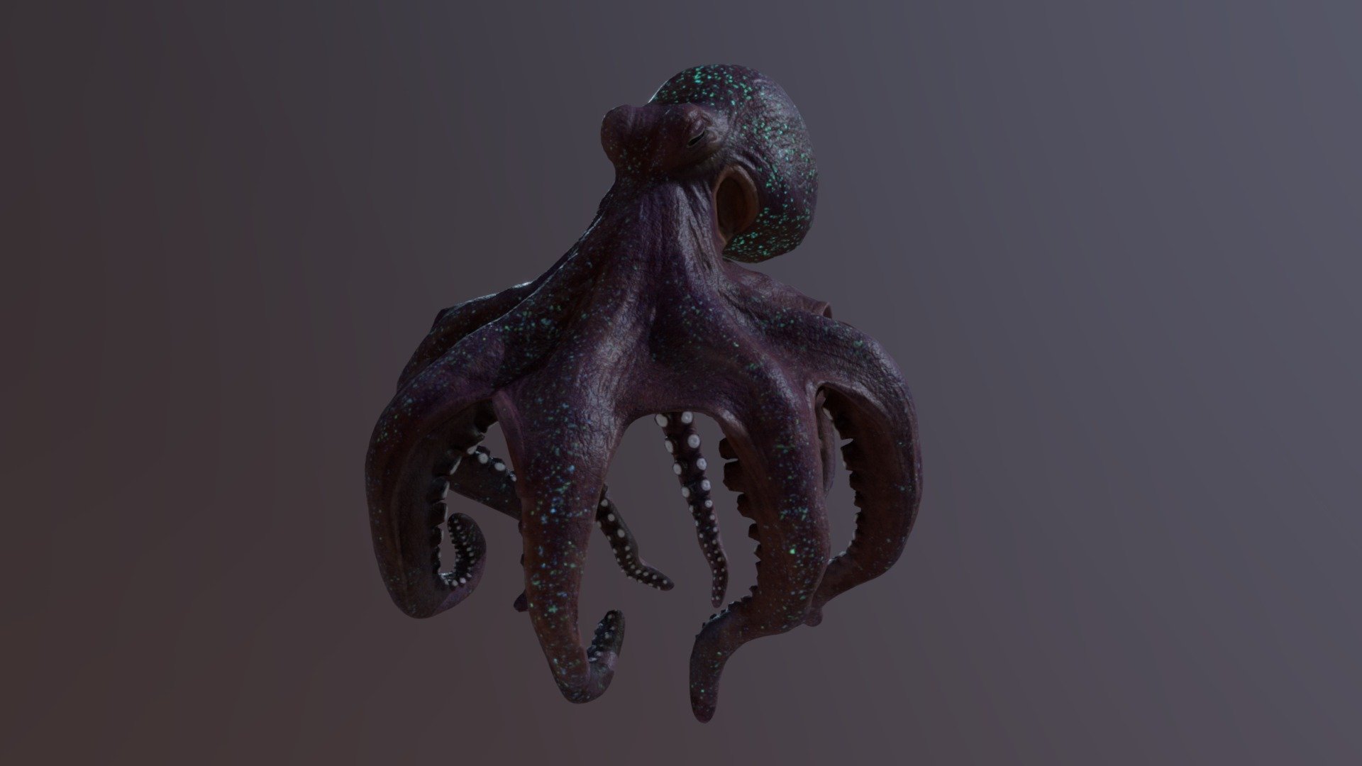 Squid that I made - Squid - 3D model by Ashindale 3d model