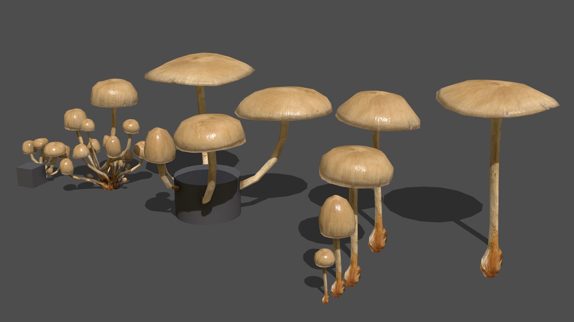 Mushoom 6

Contains 12 Variations of the same mesh


One mushroom:

Triangles 608‬/ Vertices 306

2k sized texture (base color, roughness, normal map, translucent, subsurface)

Quad topology (easily subdivided)




Contains the raw scans in the additional file (obj format)



Also available in this pack



Made with Metashape, Blender, Materialize and Subtance painter



If you have any questions, contact me here:

zacxophone3d@gmail.com





Blender cycles render example:

 - Mushroom_6 - Buy Royalty Free 3D model by Zacxophone 3d model