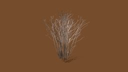 Bush without leaves tree, forest, grass, plants, flora, flower, exotic, without, vegetation, greene, bush, lowpoly, environment