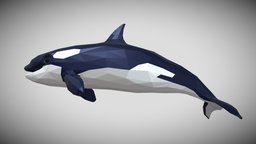 [Low Poly] Orca fish, fishing, dolphin, ocean, orca, animals-cute, blender, lowpoly, low, poly, animal, animation, animated, rigged, sea