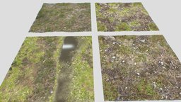 Forest ground PBR Pack 12 Textures field, forest, grass, plants, terrain, mud, ground, realistic, nature, moss, tileable, soil, seamless, puddles, pbr, leaves