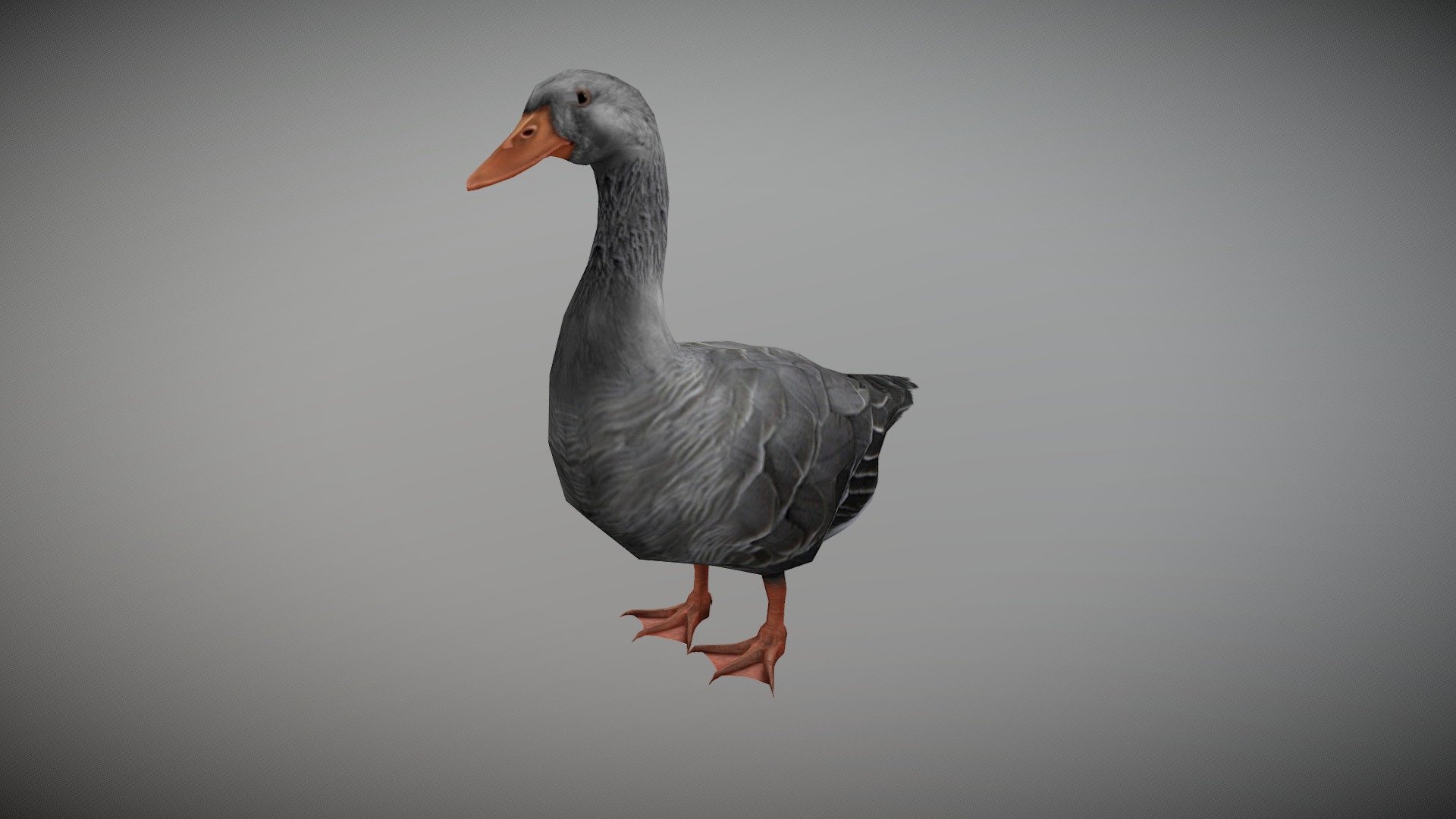 WATCH  = https://youtu.be/YPd2jEqNUhY

3D Realistic Gray Duck with Animations


PACKAGE INCLUDE



High quality polygonal model, correctly scaled for an accurate representation of the original object.

Model is built to real-world scale.

Many different format like blender, fbx, obj, iclone, dae

3d print ready in different poses

Separate Loopable Animations

Ready for animation

High Quality materials and textures

Triangles = 1628

Vertices = 856

Edges = 2485

Faces = 1628


ANIMATIONS



Idle

Walk

Eat


3D PRINT POSES ( STL  OBJ )



Stand

Look Up

Look Down

Side Look

Eat

Walk


NOTE



GIVE CREDIT BILAL CREATION PRODUCTION

SUBSCRIBE YOUTUBE CHANNEL = https://www.youtube.com/BilalCreation/playlists

FOLLOW OUR STORE = https://sketchfab.com/bilalcreation/models

LIKE AND GIVE FEEDBACK ON THE MODEL


CONTACT US                 =  https://sites.google.com/view/bilalcreation/contact-us

ORDER  DONATION   =  https://sites.google.com/view/bilalcreation/order - DUCK GRAY ANIMATED - Buy Royalty Free 3D model by Bilal Creation Production (@bilalcreation) 3d model