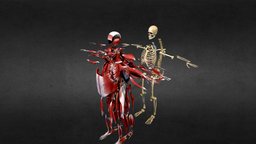 Matt G: muscles and Bones Anatomy body body, anatomy, system, muscle, bone, muscles, systems, skeletal, animation, human, bones