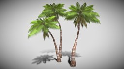 Coconut Tree tree, 3dart, artist, coconut, 3d