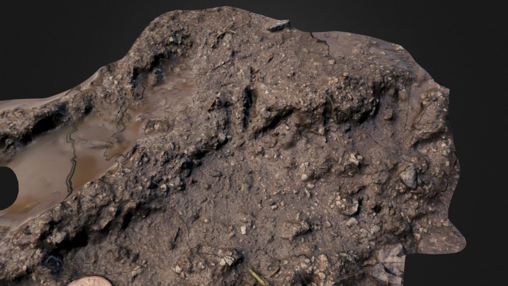 Bird track in deep mud from near Raby, Wirral, UK. 2p for scale. Notable for the very deep impression and seemingly low interdigital angles.

Model made with Autodesk ReMake - Bird footprint soft mud, Raby, Wirral (2) - Download Free 3D model by PeterFalkingham (@pfalkingham1) 3d model