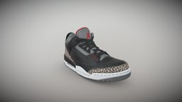 Air Jordan 3s 