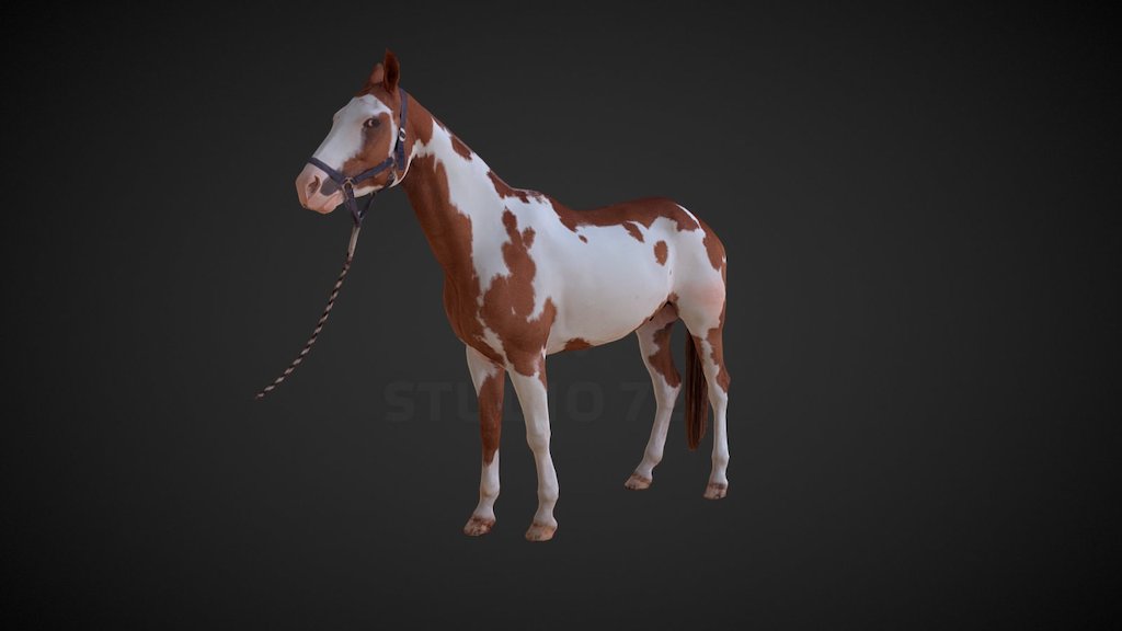Real horse model generated by photogrammetry 3d model