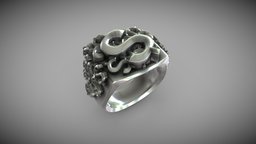 Dollar ring style, fashion, accessories, silver, ring, gold