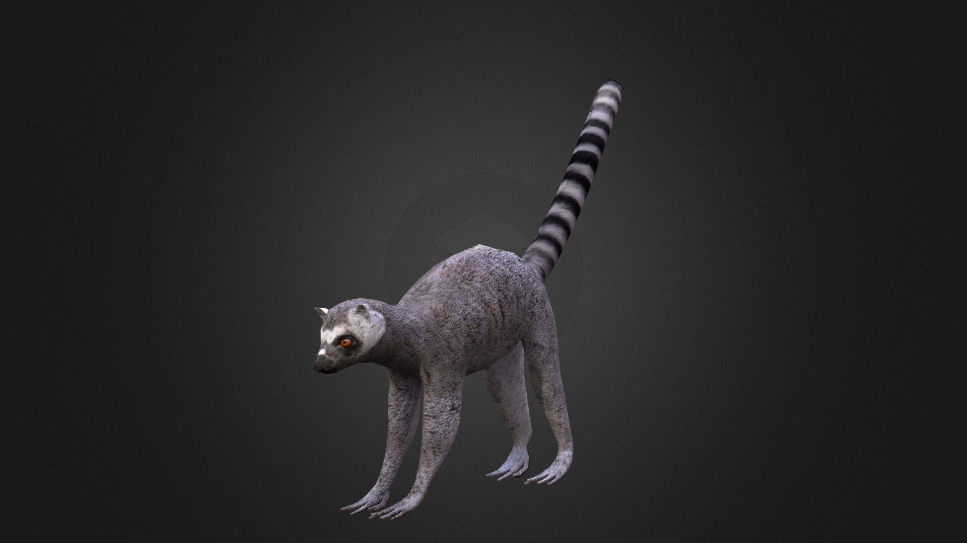 Lemur - 3D model by Ondřej Vališ (@throy) 3d model