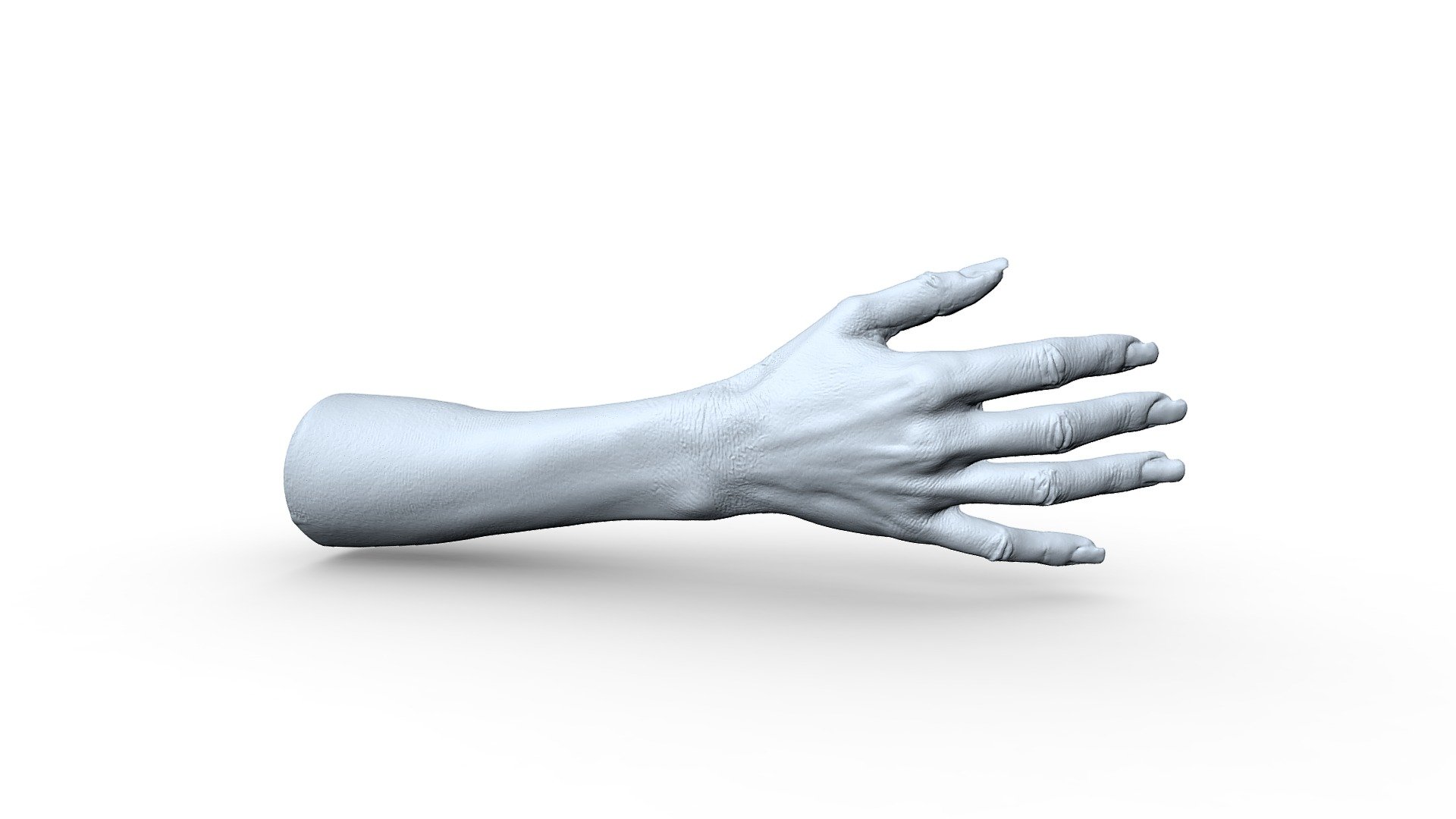 3d scan of hand for use in dermatology using Artec Space Spider - Hand - Buy Royalty Free 3D model by Europac3d 3d model