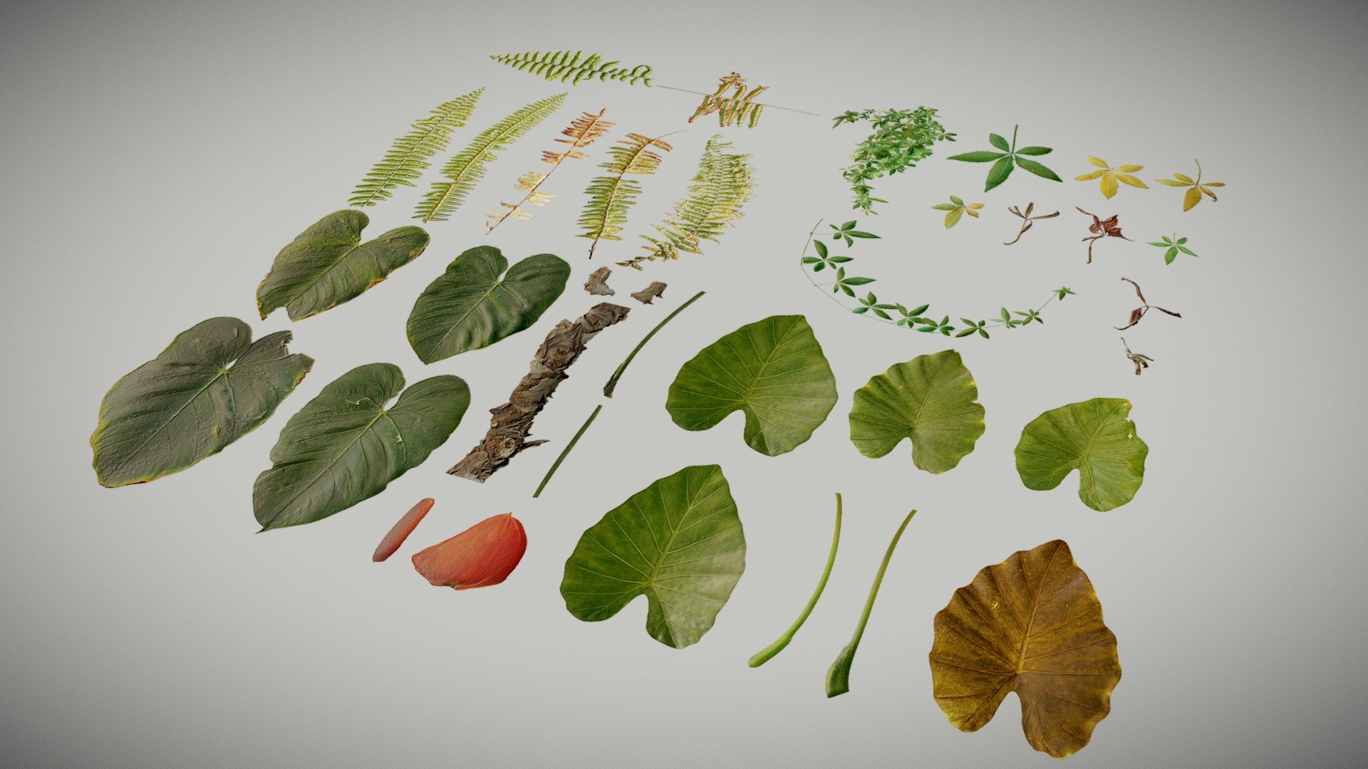 Details

4K textures

4 materials:

-Anthurium

-Elephant  Ear

-Ivy Herb

-Fern

Base Color, Normal, Roughness, Translucency and Opacity

Contact me for any issue or questions https://www.artstation.com/bpaul/profile - Atlases (Tropical Plants) No. 1 - Buy Royalty Free 3D model by Paul (@nathan.d1563) 3d model