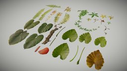 Atlases (Tropical Plants) No. 1 plants, tropical, atlases, texture