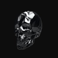 Triangulated Skull triangulated, skull