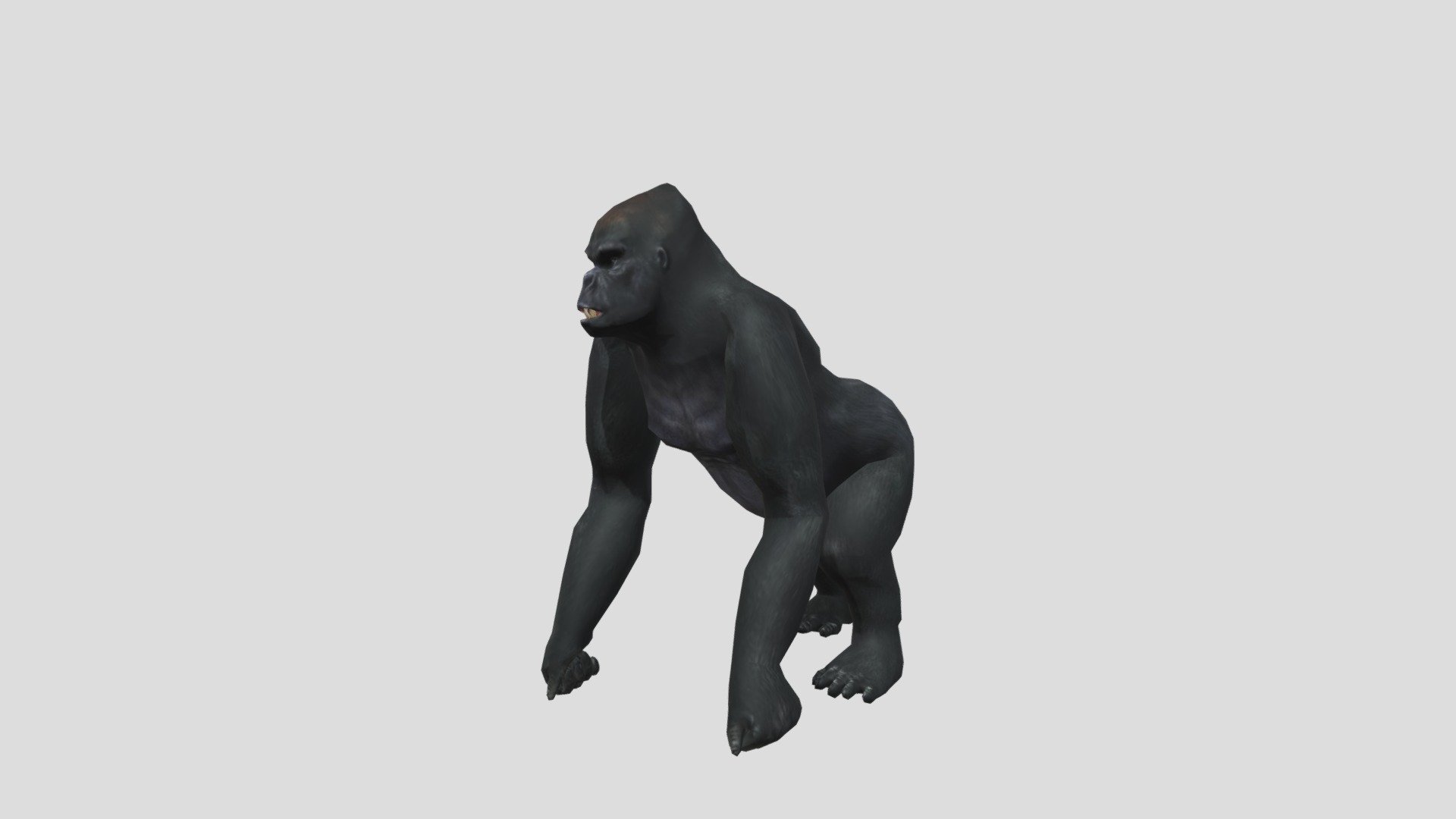 Gorilla idle animation - Download Free 3D model by dinomaster 3d model