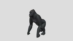 Gorilla idle animation animals, gorilla, animal