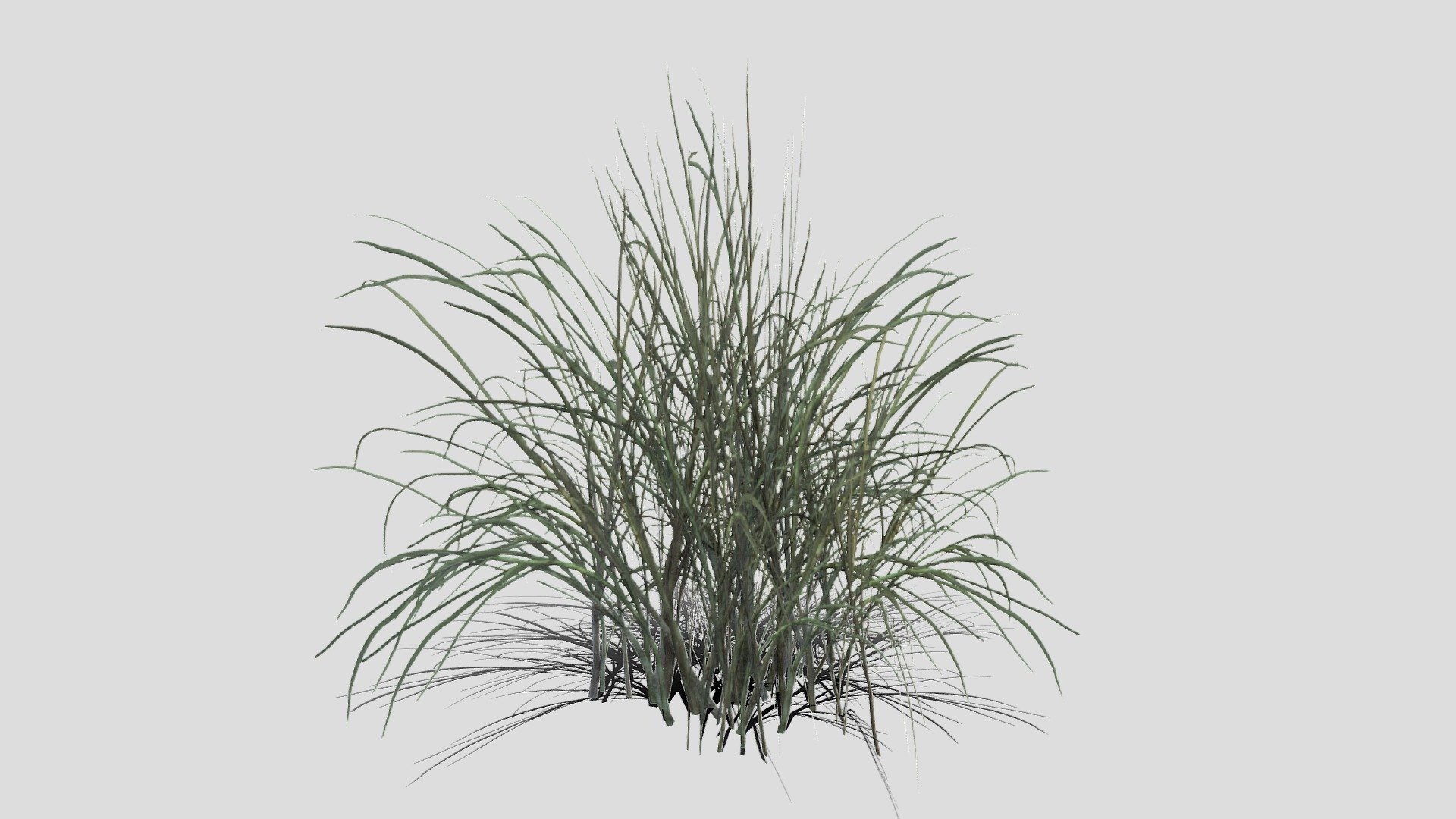 Low poly model of some grass.

More exmaples or rendered foliage can be seen here:  https://www.artstation.com/leonlabyk - Grass - Buy Royalty Free 3D model by Studio Lab (@studiolab.dev) 3d model