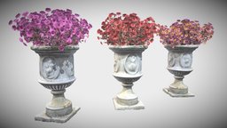 Flower Pots plant, pot, flower, garden, vase, vegetation, unwrap, pbr