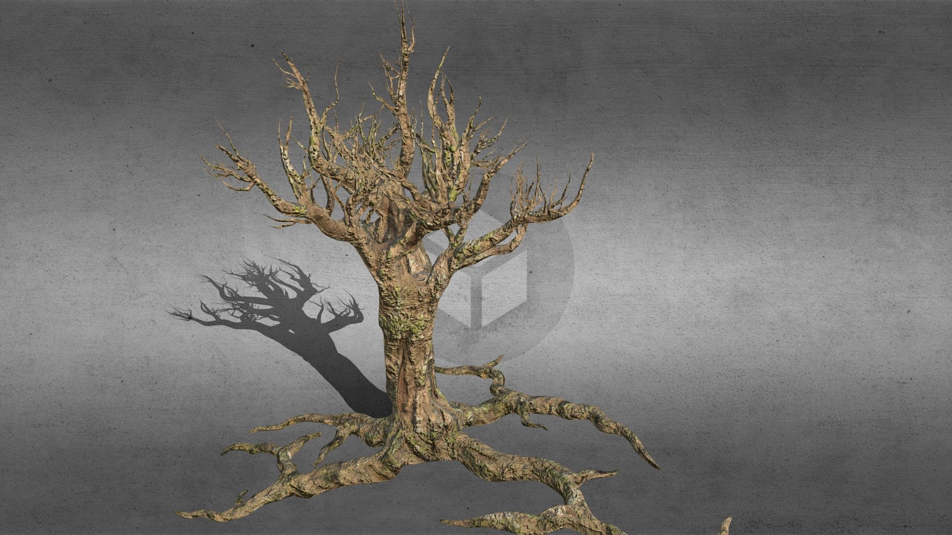 This tree is here for your use.

Technical information:

Text 2048x2048

Tree - 77480 tris, 38740 faces, 39258 verts, 77900 edges.

Thank you for taking look and leaving like. :) 3d model