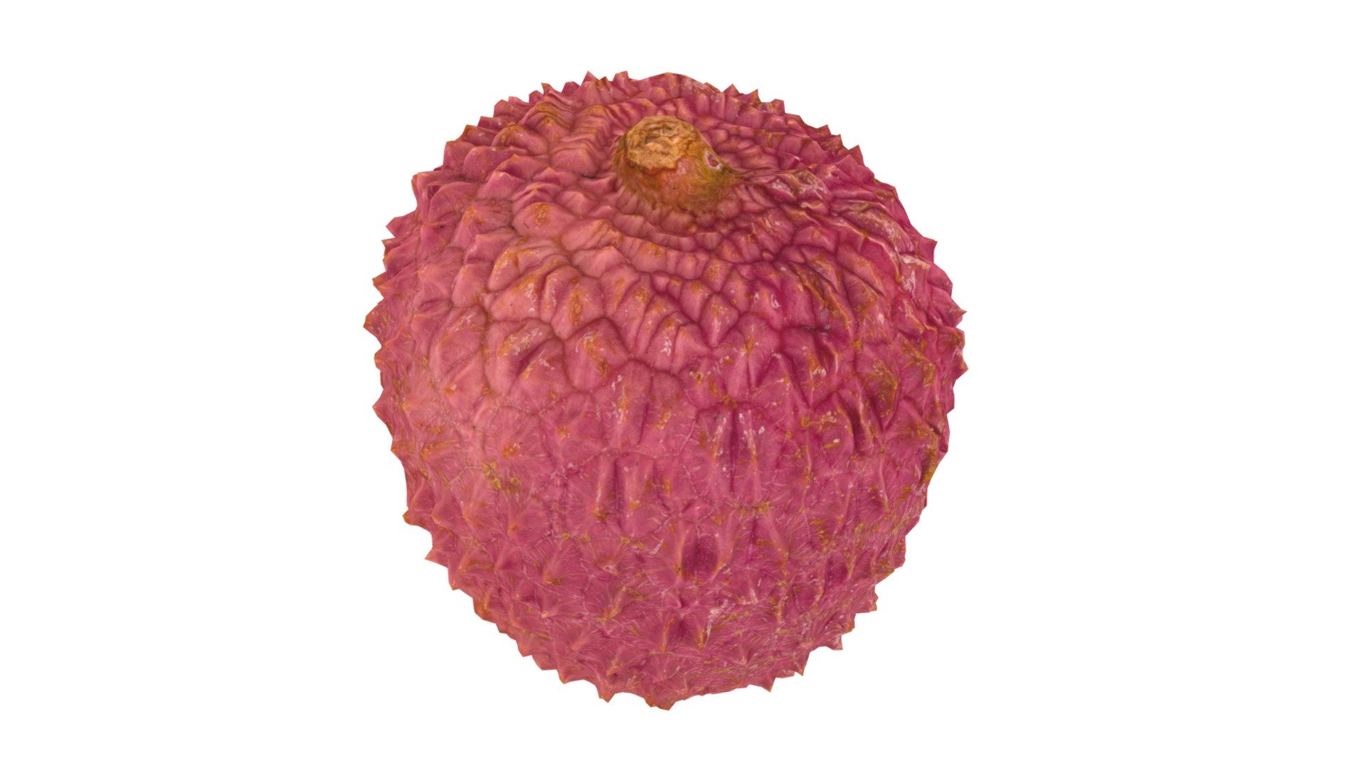 Highly detailed, photorealistic, 3d scanned model of a lychee. 8k textures maps, optimized topology and uv unwrapped.

Model shown here is lowpoly with diffuse map only and 4k texture size.

This model is available at www.thecreativecrops.com 3d model