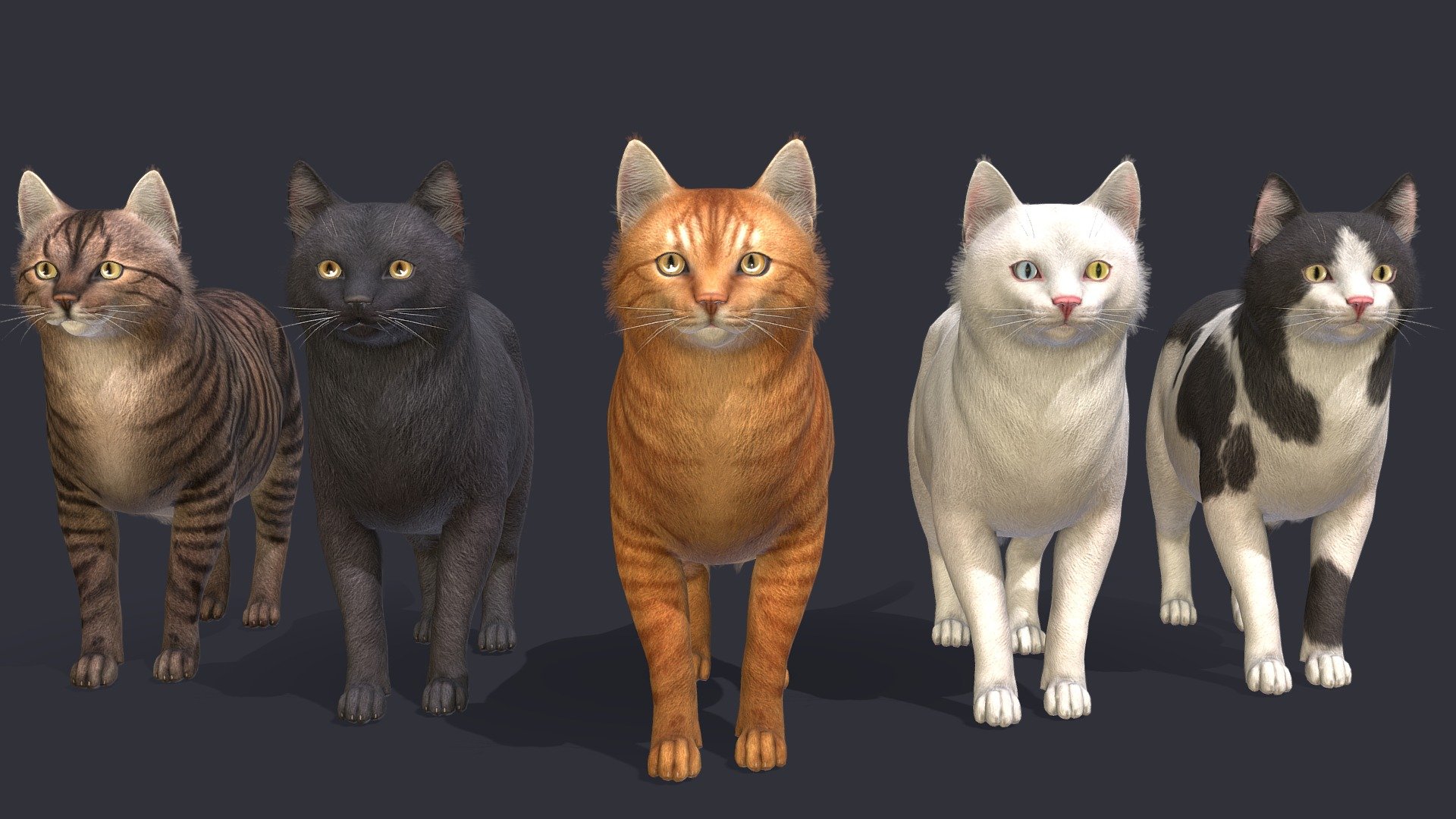 Fat cat model with 100 IP/PM animations and 5 colors.

In the attached archive you will find all files with animations.

If you have any questions, please email me 3d model