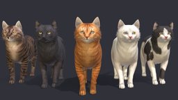 Fat Cats cat, cute, kitty, pet, fat, kitten, noai