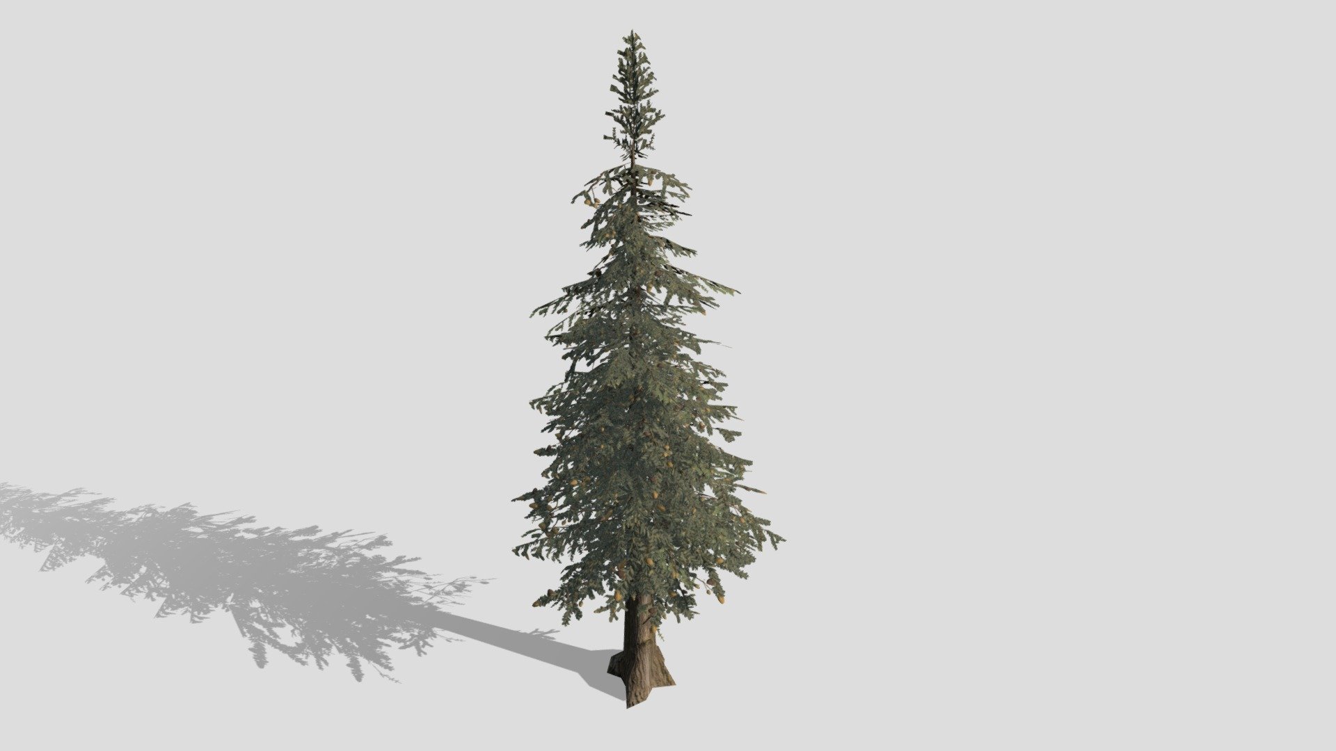 Lowpoly hemlock tree made as a terrain asset for a UE4 game set in the pacific northwest region of the United States. Not entirely accurate to the actual species- the cones are too large and the branch structure is slightly incorrect, but still close enough to be recognisable. Bark texture is from polyhaven, find it here. Creation of a custom bark texture is planned! - Western hemlock tree - 3D model by Catbot (@SteelBlue8) 3d model