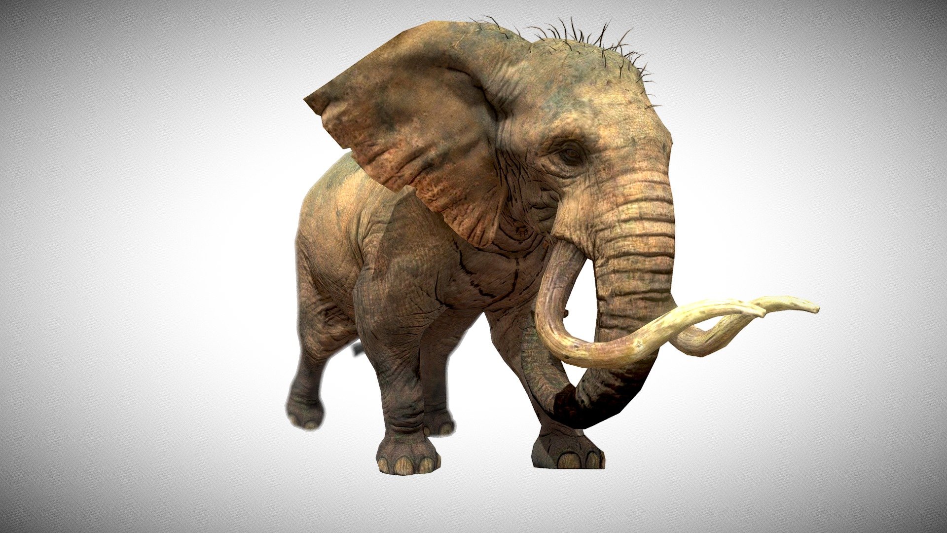 Hunting Gameready character , related animations: Walk (2 types), Idle (5 types), Attack (6 types), Die (4 Types), Run (2 types), - Elephant - 3D model by ElectroNick 3d model