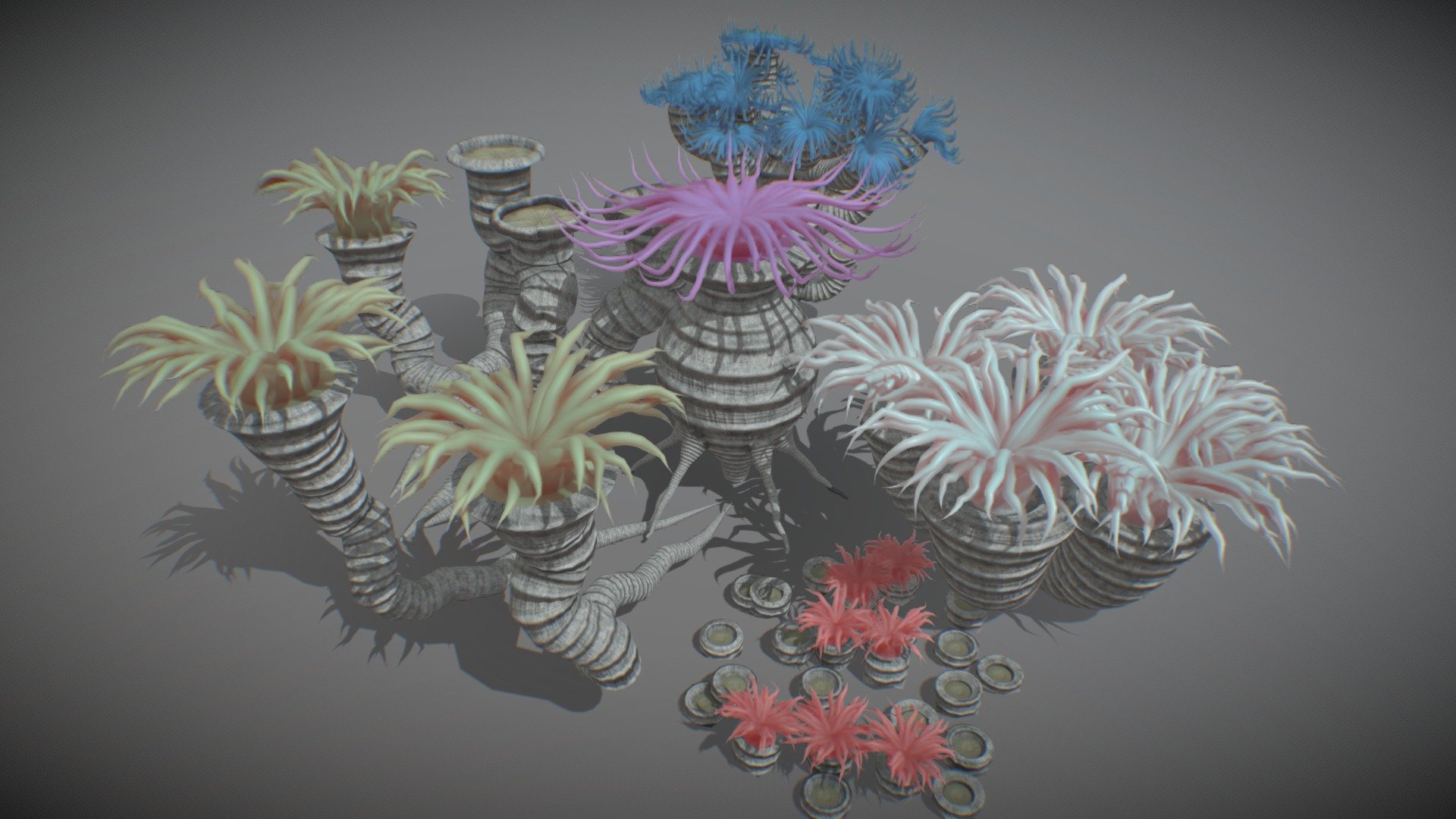I tried to ad some improvements my old rugose corals
It's inspired by &ldquo;Tetracorallia