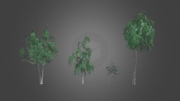 Birch trees trees, tree, nature, birch, low-poly, game, lowpoly, environment