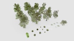 Shapespark low poly exterior plants kit kit, tree, forest, plants, terrain, garden, webgl, nature, optimized, cc0, low-poly-model, low-poly, lowpoly, free