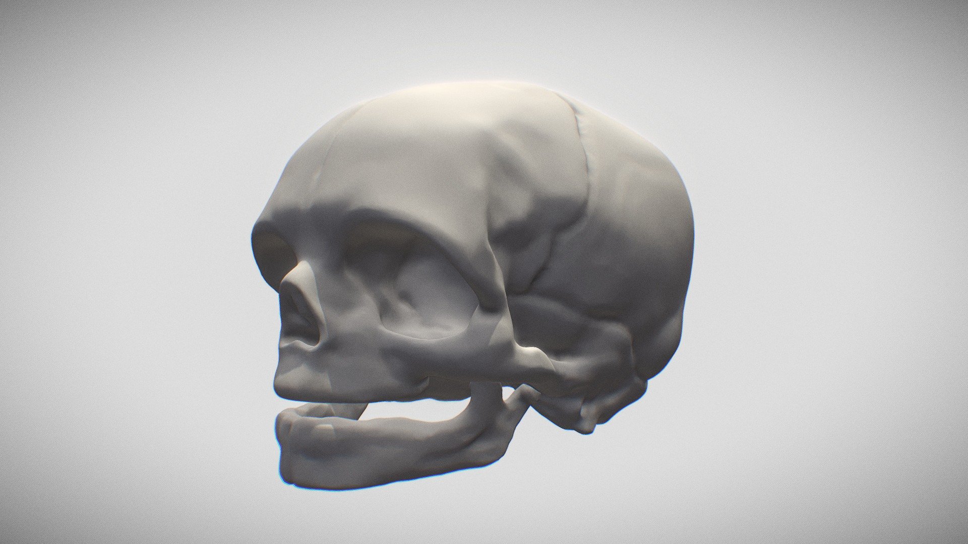 https://en.wikipedia.org/wiki/Skull

see more of my work on my website and instagram:

https://www.tomjohnsonart.co.uk/

https://www.instagram.com/tomjohnsonart/ - Skull: Human Infant - Buy Royalty Free 3D model by Tom Johnson (@Brigyon) 3d model