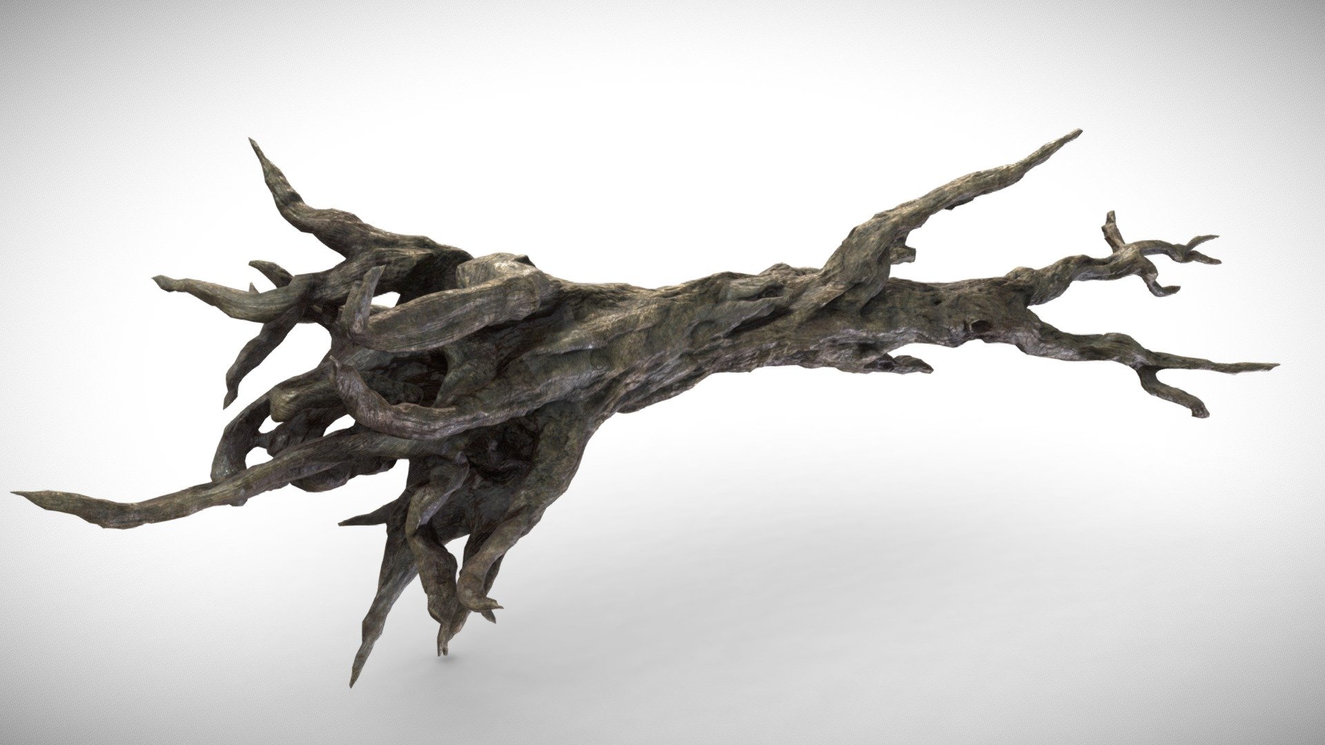 This Tree Mesh is made up of 1 UV Map, with 4096x4096 resolution.
Textures contained are:
- Diffuse
- Metallic
- Normal
- Roughness - Fantasy Forest Tree - Fallen Dead Roots A - 4k - Buy Royalty Free 3D model by Davis3D 3d model